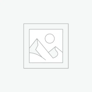 Healthy Makhana Snacks